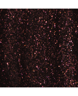 The Gel Polish - CC3