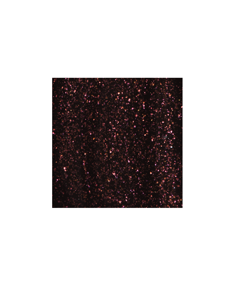 The Gel Polish - CC3