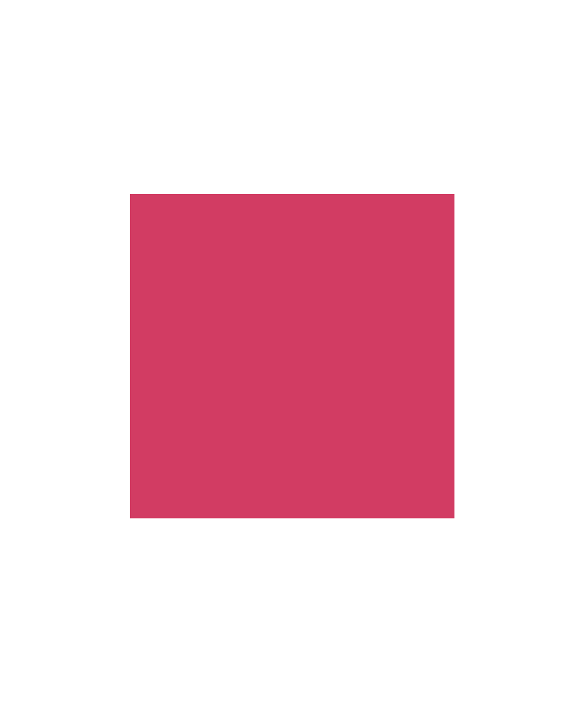 The Gel Polish - FS1