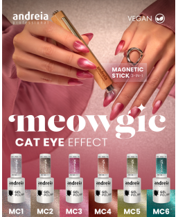 Collection Cat Eye + stick magnétic 3 en 1