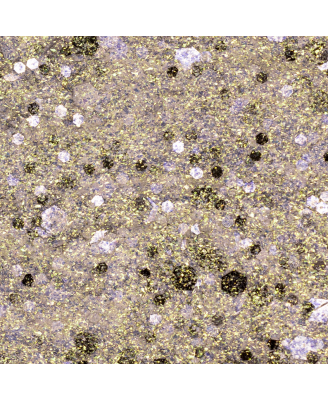 Gel polish n°254 - Glitter Argenté